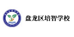 光标阅读机